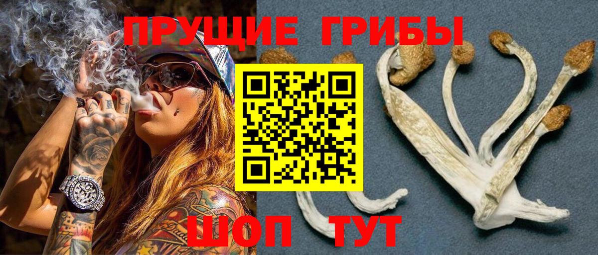 Благовещенск  Галлюциногенные грибы Psilocybine cubensis  Галлюциногенные грибы Psilocybe  купить закладку  Вход с VPN 