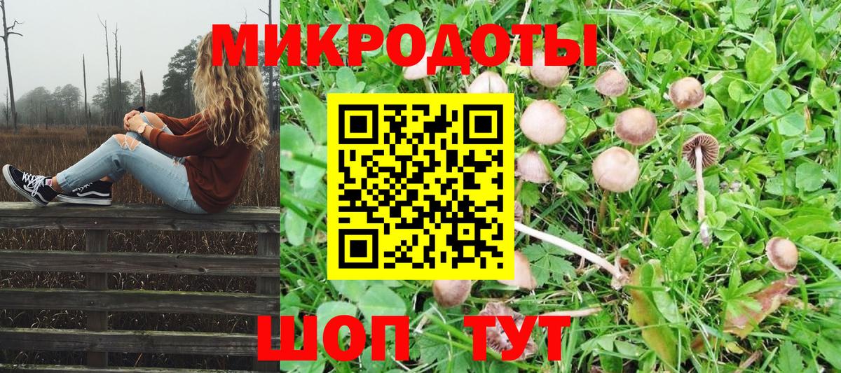 Галлюциногенные грибы GOLDEN TEACHER Благовещенск